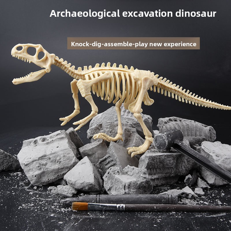 Kit de Escavação de Fósseis de - Model Kit Excavator avaliação e preço