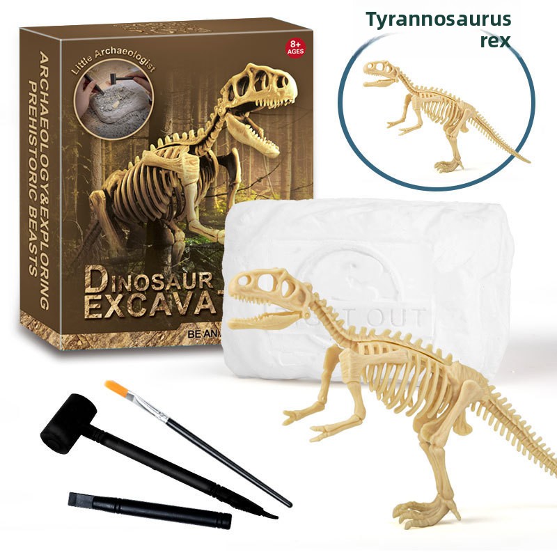Kit de Escavação de Fósseis de - Model Kit Excavator avaliação e preço